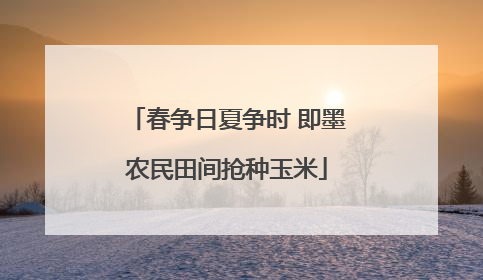 春争日夏争时 即墨农民田间抢种玉米