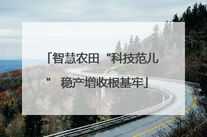 智慧农田“科技范儿” 稳产增收根基牢