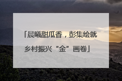 晨曦甜瓜香，彭集绘就乡村振兴“金”画卷