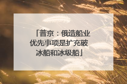 普京：俄造船业优先事项是扩充破冰船和冰级船