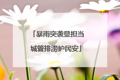 暴雨突袭显担当 城管排涝护民安