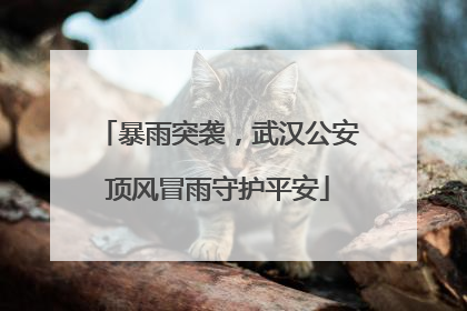 暴雨突袭，武汉公安顶风冒雨守护平安