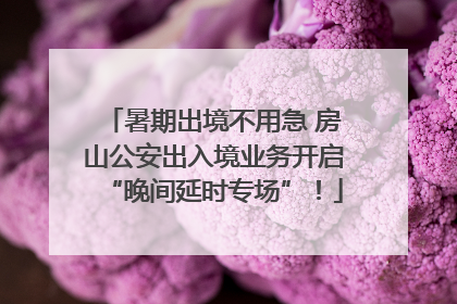 暑期出境不用急 房山公安出入境业务开启“晚间延时专场”！