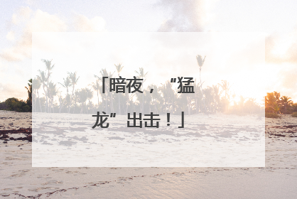 暗夜，“猛龙”出击！