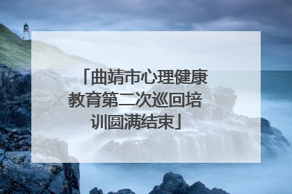 曲靖市心理健康教育第二次巡回培训圆满结束