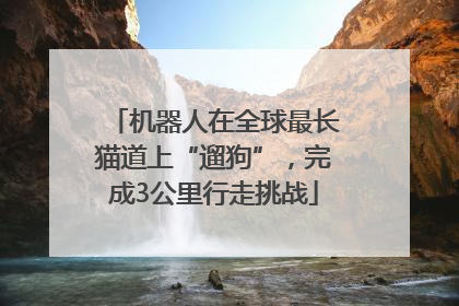 机器人在全球最长猫道上“遛狗”，完成3公里行走挑战