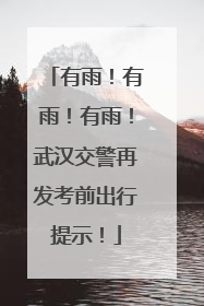 有雨！有雨！有雨！武汉交警再发考前出行提示！