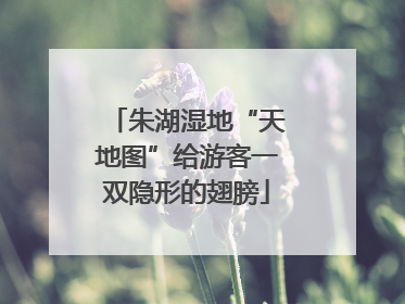 朱湖湿地“天地图”给游客一双隐形的翅膀