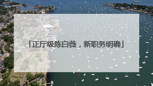 正厅级陈白薇，新职务明确