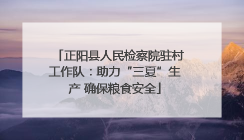 正阳县人民检察院驻村工作队：助力“三夏”生产 确保粮食安全