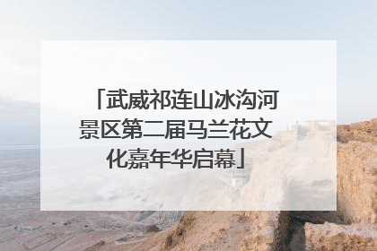 武威祁连山冰沟河景区第二届马兰花文化嘉年华启幕