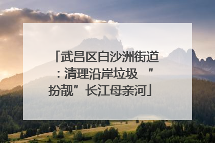 武昌区白沙洲街道：清理沿岸垃圾 “扮靓”长江母亲河