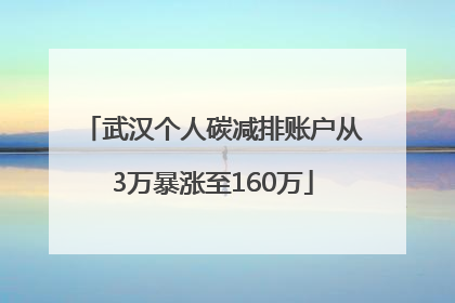 武汉个人碳减排账户从3万暴涨至160万