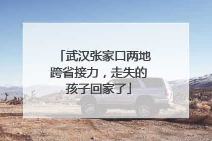 武汉张家口两地跨省接力，走失的孩子回家了