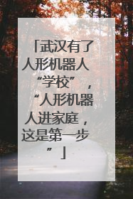 武汉有了人形机器人“学校”，“人形机器人进家庭，这是第一步”