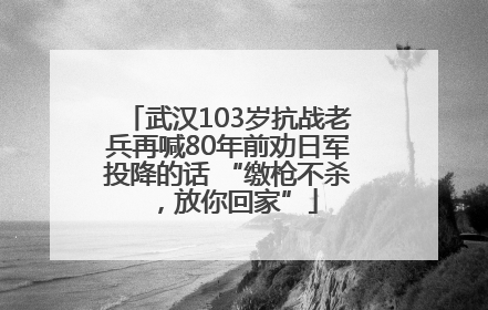 武汉103岁抗战老兵再喊80年前劝日军投降的话 “缴枪不杀，放你回家”