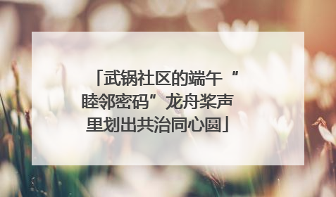 武锅社区的端午“睦邻密码”龙舟桨声里划出共治同心圆