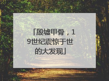 殷墟甲骨，19世纪震惊于世的大发现