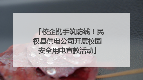 校企携手筑防线！民权县供电公司开展校园安全用电宣教活动