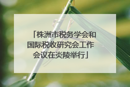 株洲市税务学会和国际税收研究会工作会议在炎陵举行