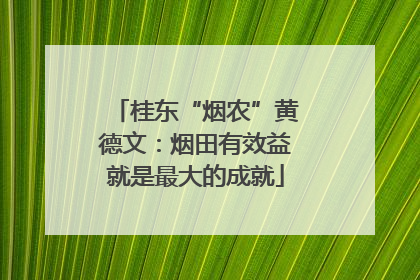 桂东“烟农”黄德文：烟田有效益就是最大的成就