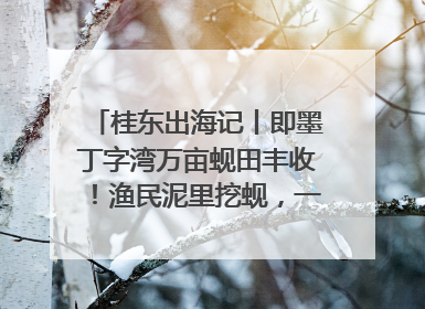 桂东出海记丨即墨丁字湾万亩蚬田丰收！渔民泥里挖蚬，一天上岸过千斤
