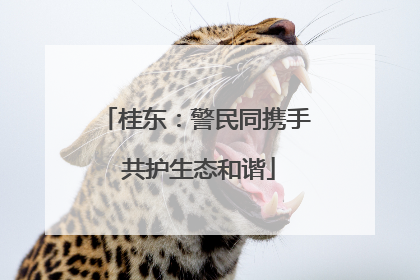 桂东：警民同携手 共护生态和谐