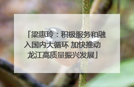 梁惠玲：积极服务和融入国内大循环 加快推动龙江高质量振兴发展