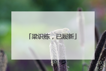 梁识栋，已履新