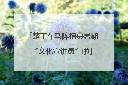 楚王车马阵招募暑期“文化宣讲员”啦