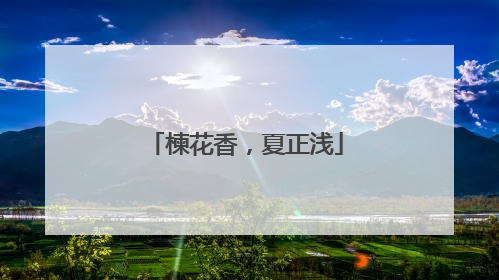 楝花香，夏正浅