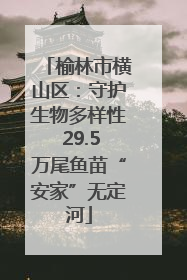 榆林市横山区：守护生物多样性 29.5万尾鱼苗“安家”无定河