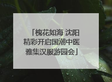 槐花如海 沈阳精彩开启国潮中医雅集汉服游园会