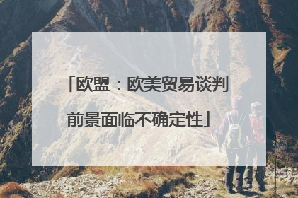 欧盟：欧美贸易谈判前景面临不确定性