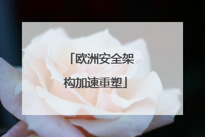 欧洲安全架构加速重塑