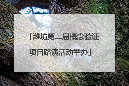 潍坊第二届概念验证项目路演活动举办