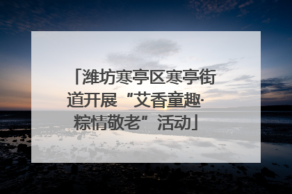 潍坊寒亭区寒亭街道开展“艾香童趣·粽情敬老”活动
