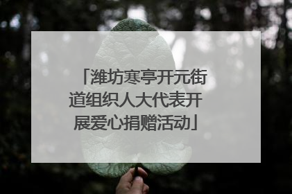 潍坊寒亭开元街道组织人大代表开展爱心捐赠活动