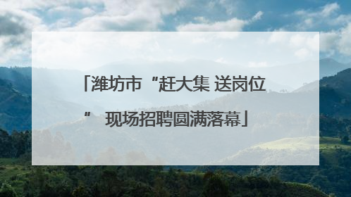 潍坊市“赶大集 送岗位” 现场招聘圆满落幕