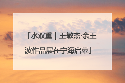 水双重｜王敏杰·余王波作品展在宁海启幕