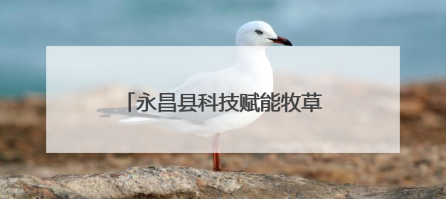 永昌县科技赋能牧草产业 民族团结共绘戈壁“绿富美”新画卷