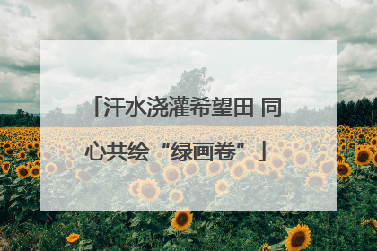 汗水浇灌希望田 同心共绘“绿画卷”