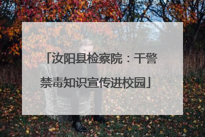 汝阳县检察院：干警禁毒知识宣传进校园