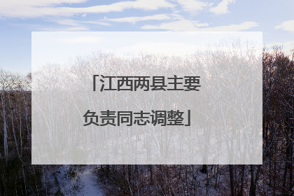 江西两县主要负责同志调整