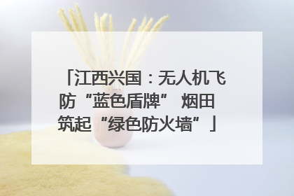 江西兴国：无人机飞防“蓝色盾牌” 烟田筑起“绿色防火墙”