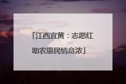 江西宜黄：志愿红助农惠民情意浓
