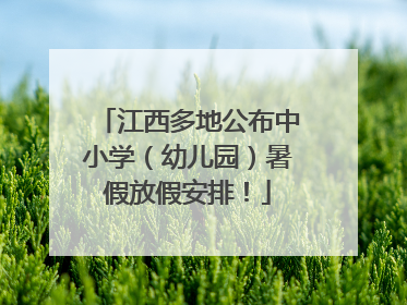 江西多地公布中小学（幼儿园）暑假放假安排！
