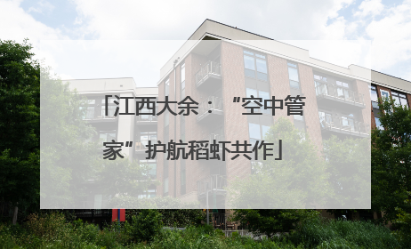 江西大余：“空中管家”护航稻虾共作
