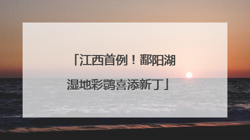 江西首例！鄱阳湖湿地彩鹮喜添新丁
