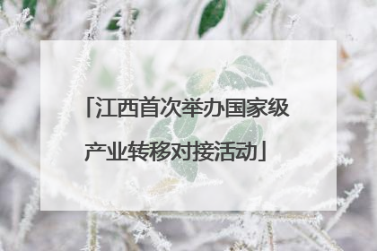 江西首次举办国家级产业转移对接活动